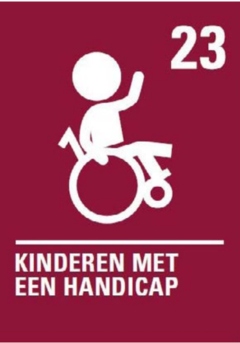 Kinderen met een handicap